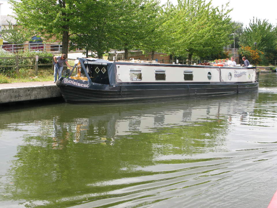 nb Masibert