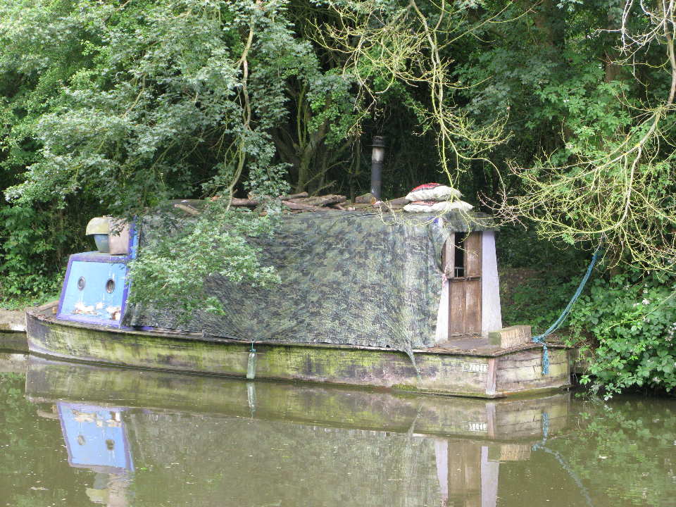 Camouflaged boat