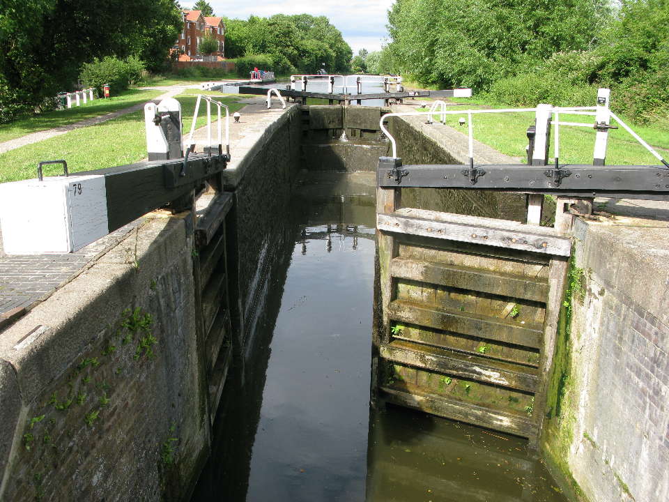 Common Moor Lock