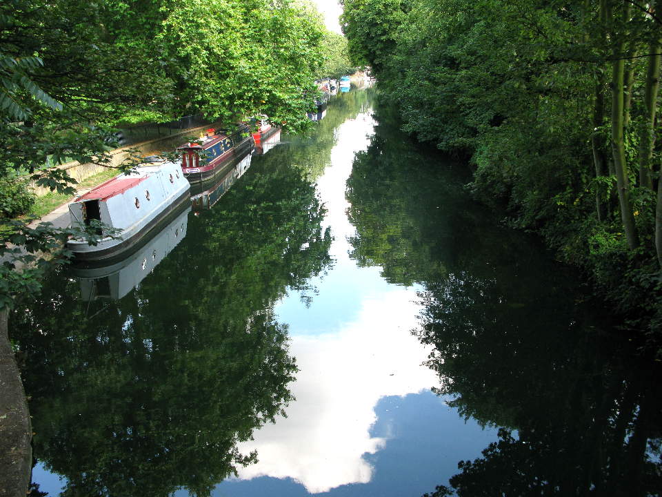Vic Park moorings