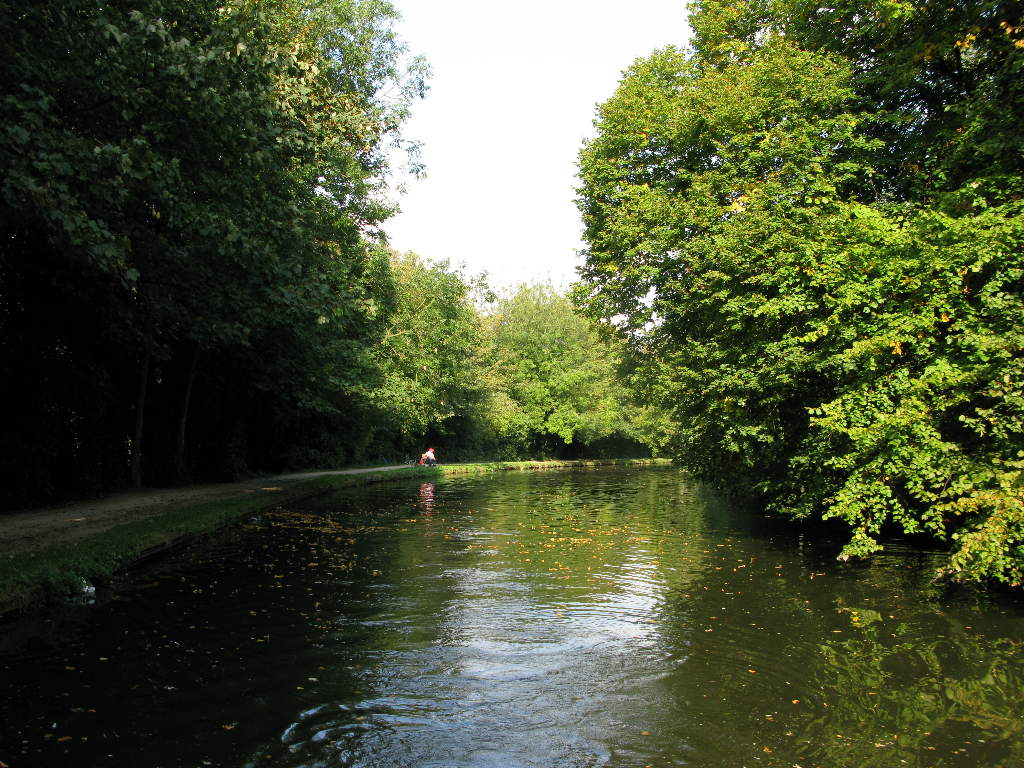 Loan fisherman