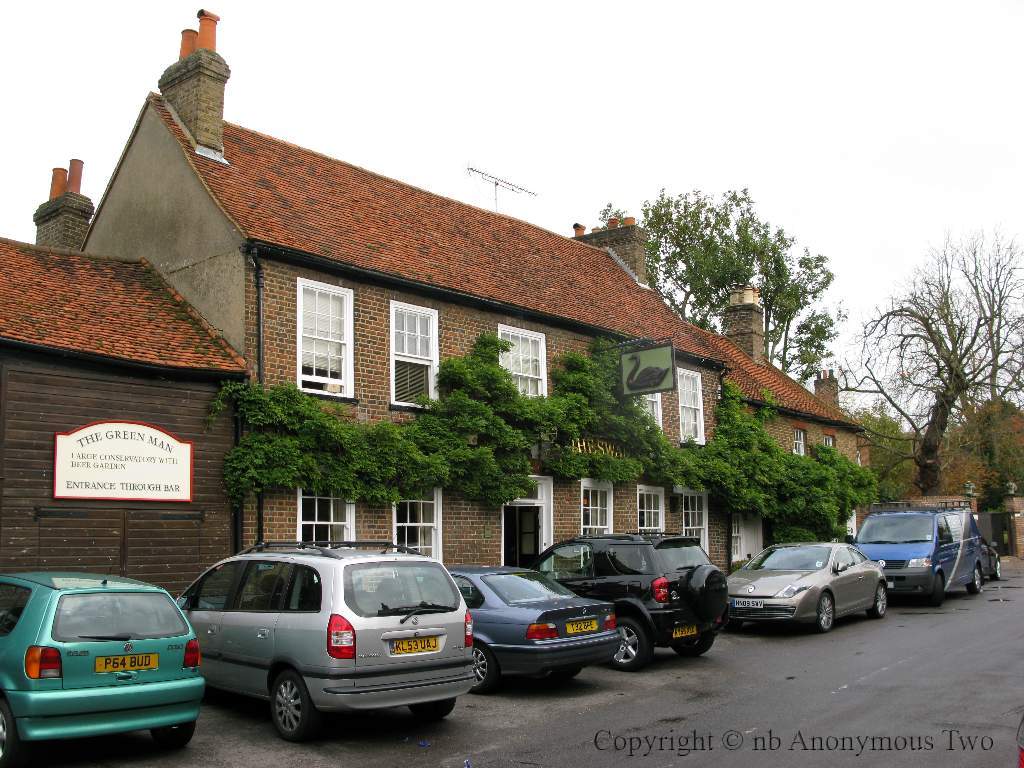The Swan - Denham
