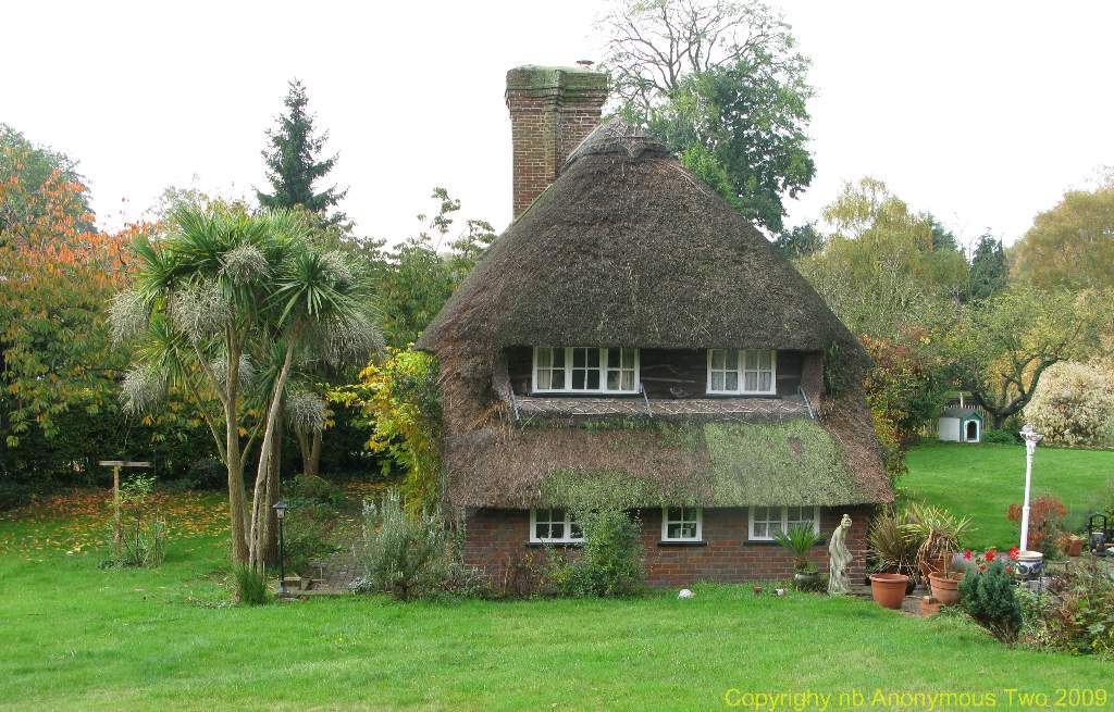 Peacock house