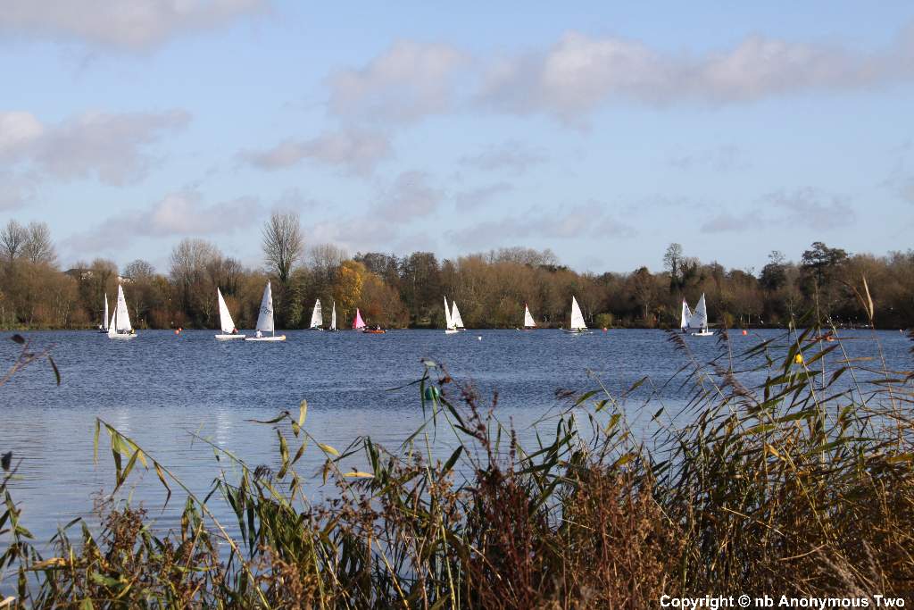 Boats at play