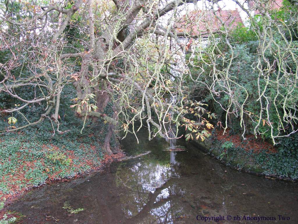 Stream