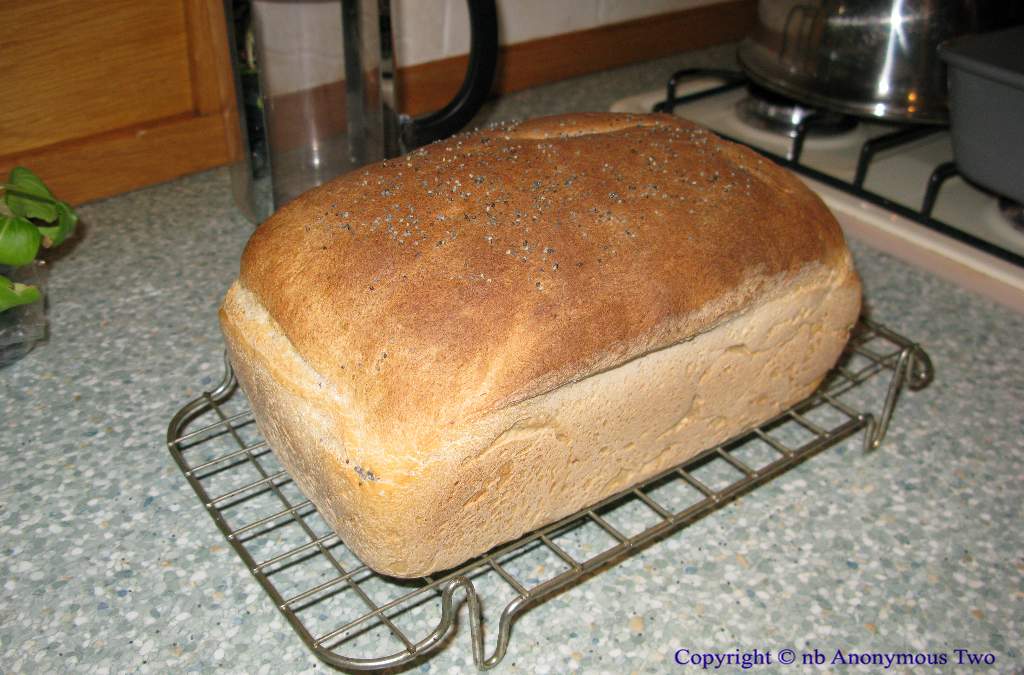 Bread
