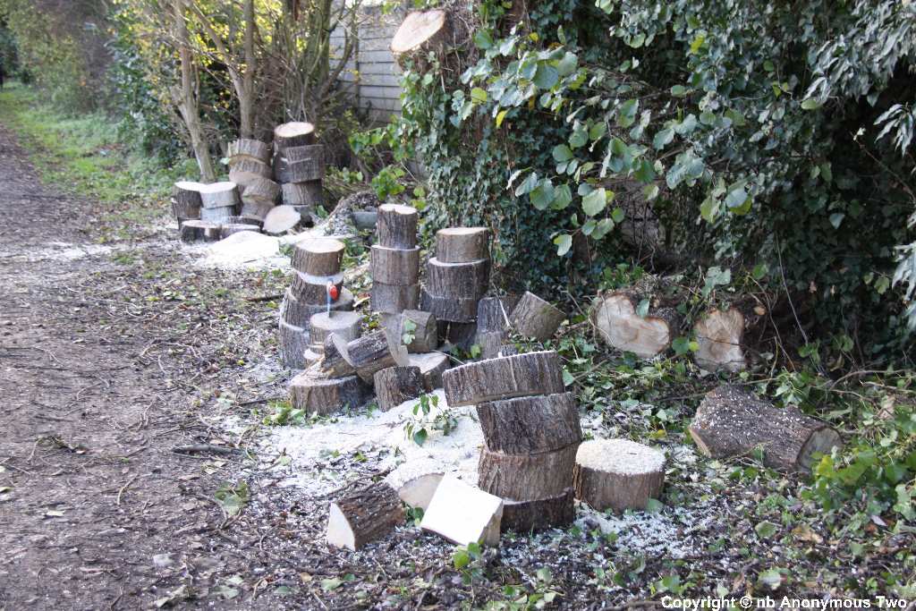 Logs
