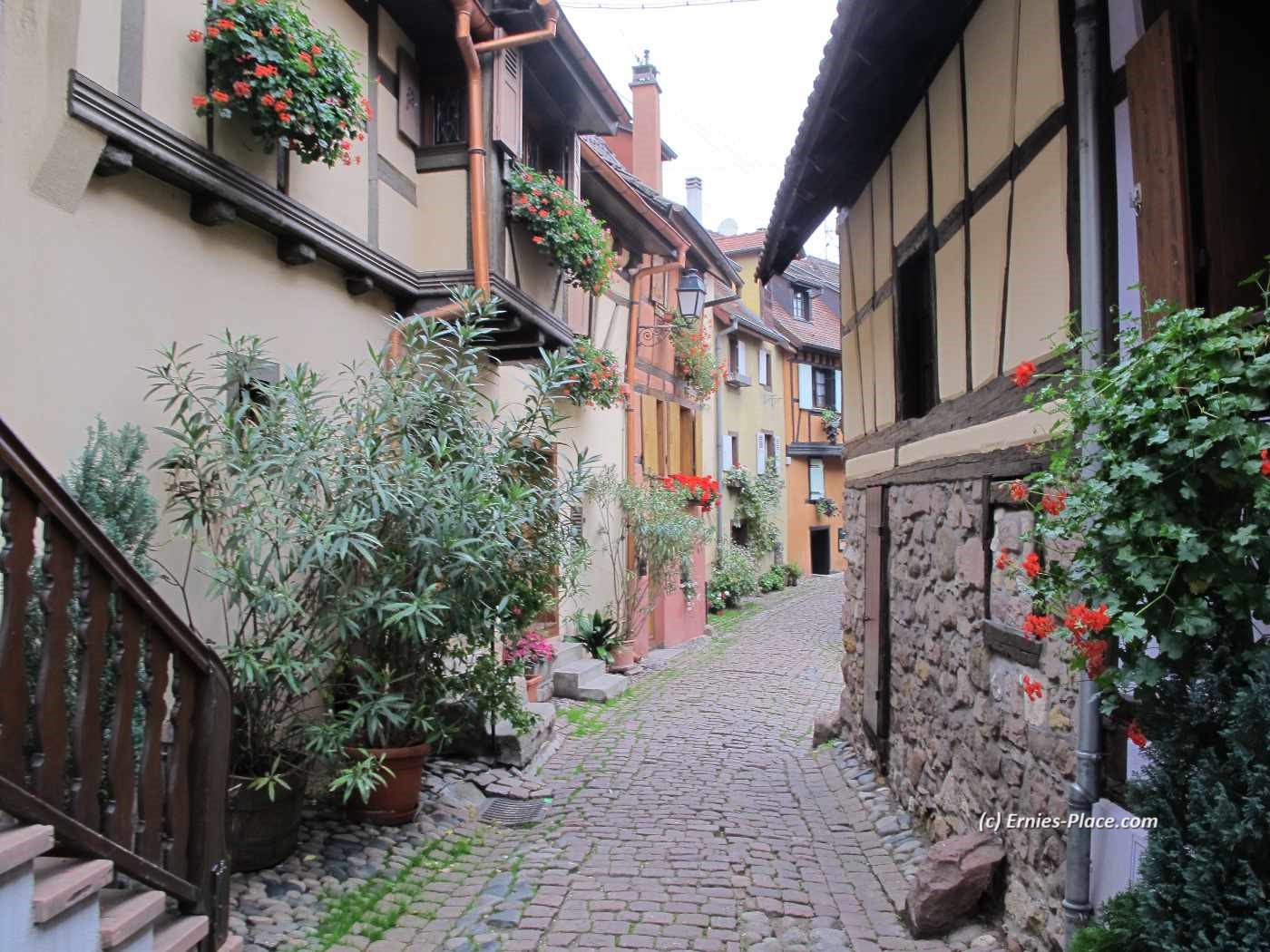 Photo Image Of: The lovely french village of Eguisheim