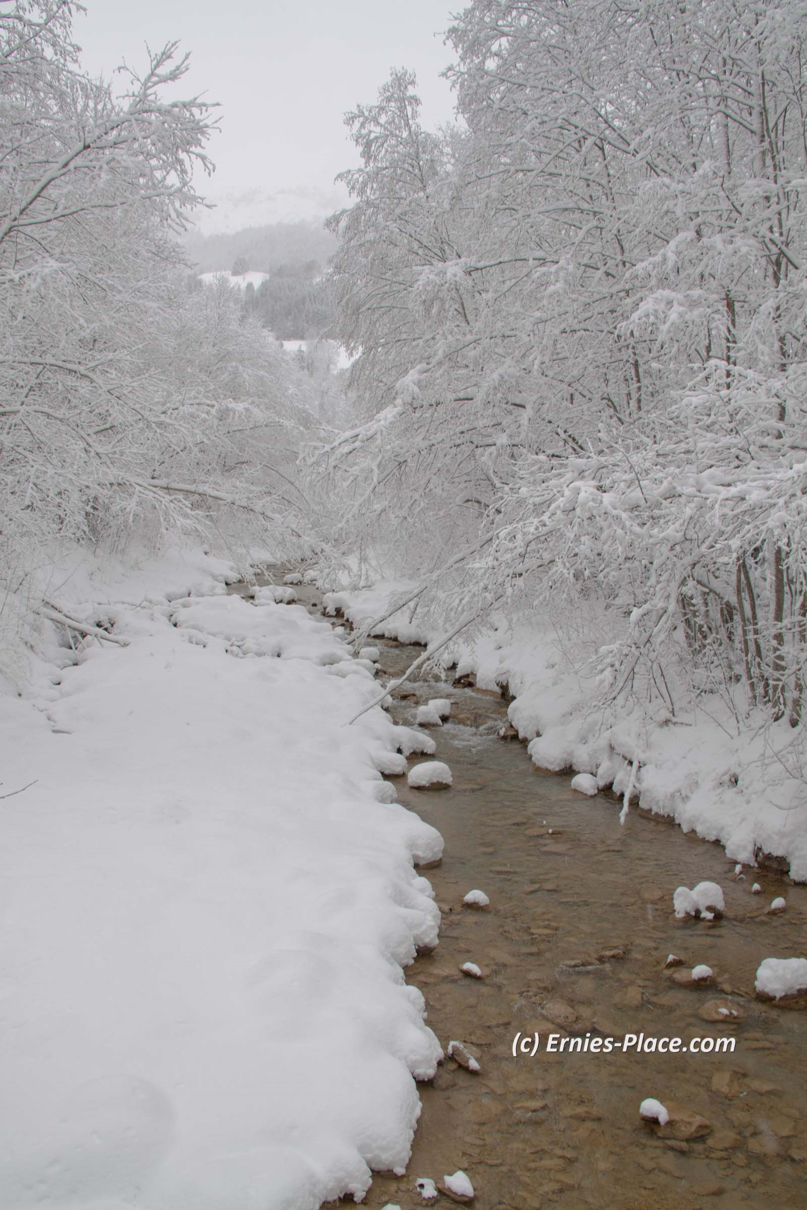 Photo Image Of: A snowy river