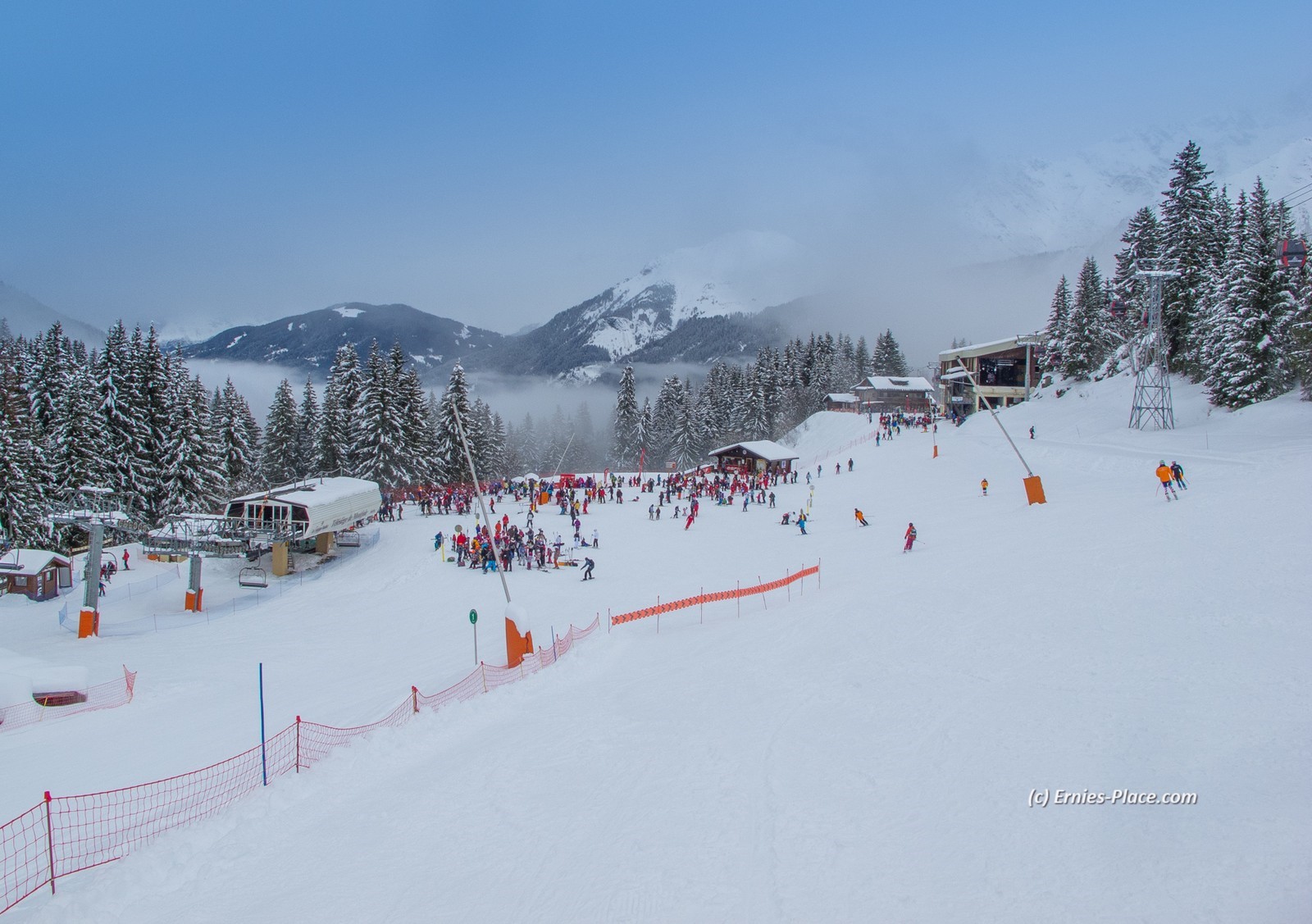 Photo Image Of: Busy Busy Busy