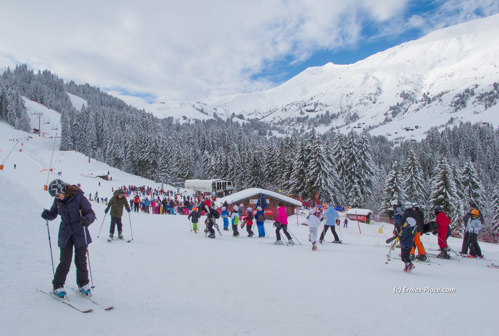 Photo Image Of: Lots of children learning to ski