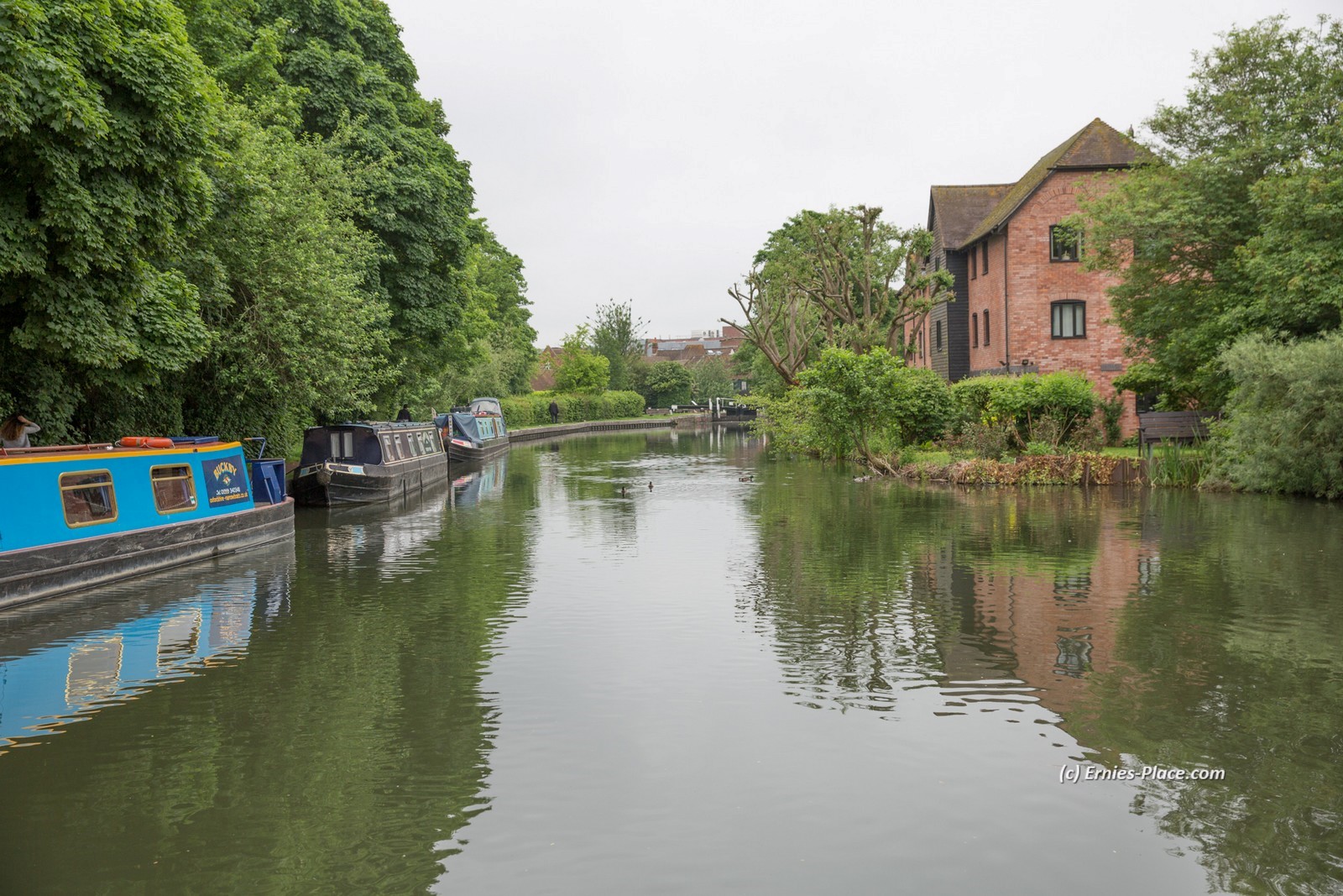 Photo Image Of: Moored at Newbury