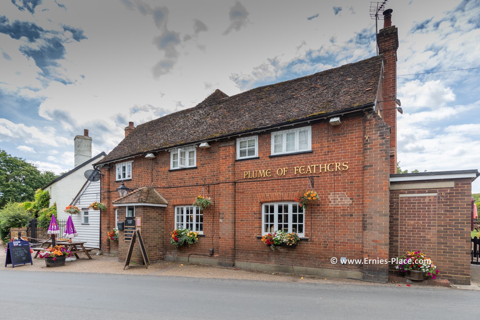 Photo Image Of: The Plume of Feathers