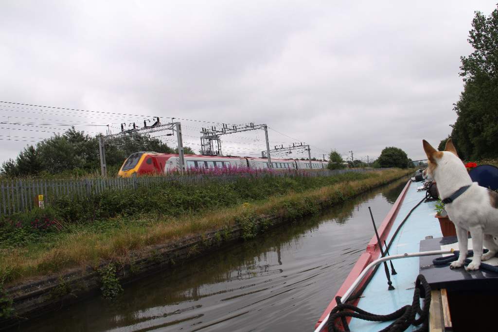 train spotting