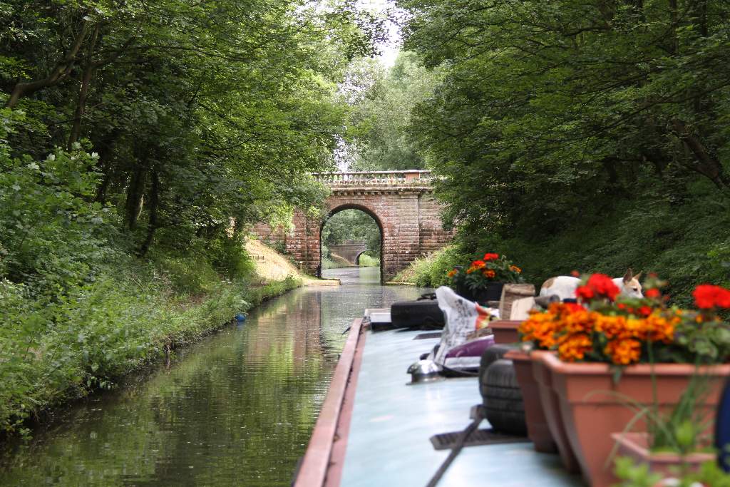 bridge