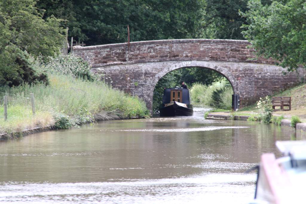 bridge