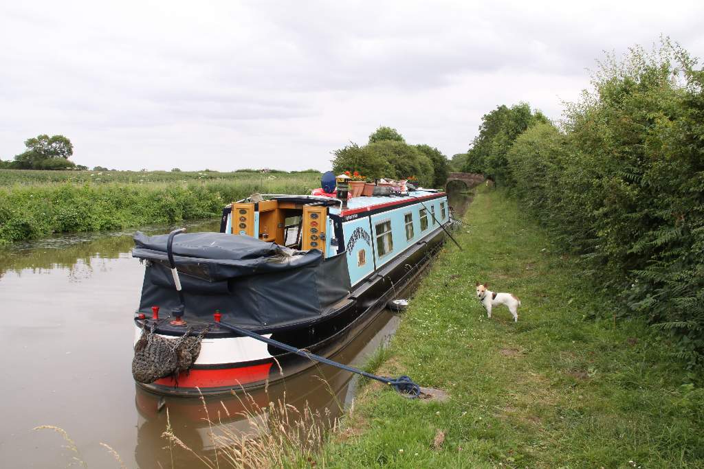Knighton