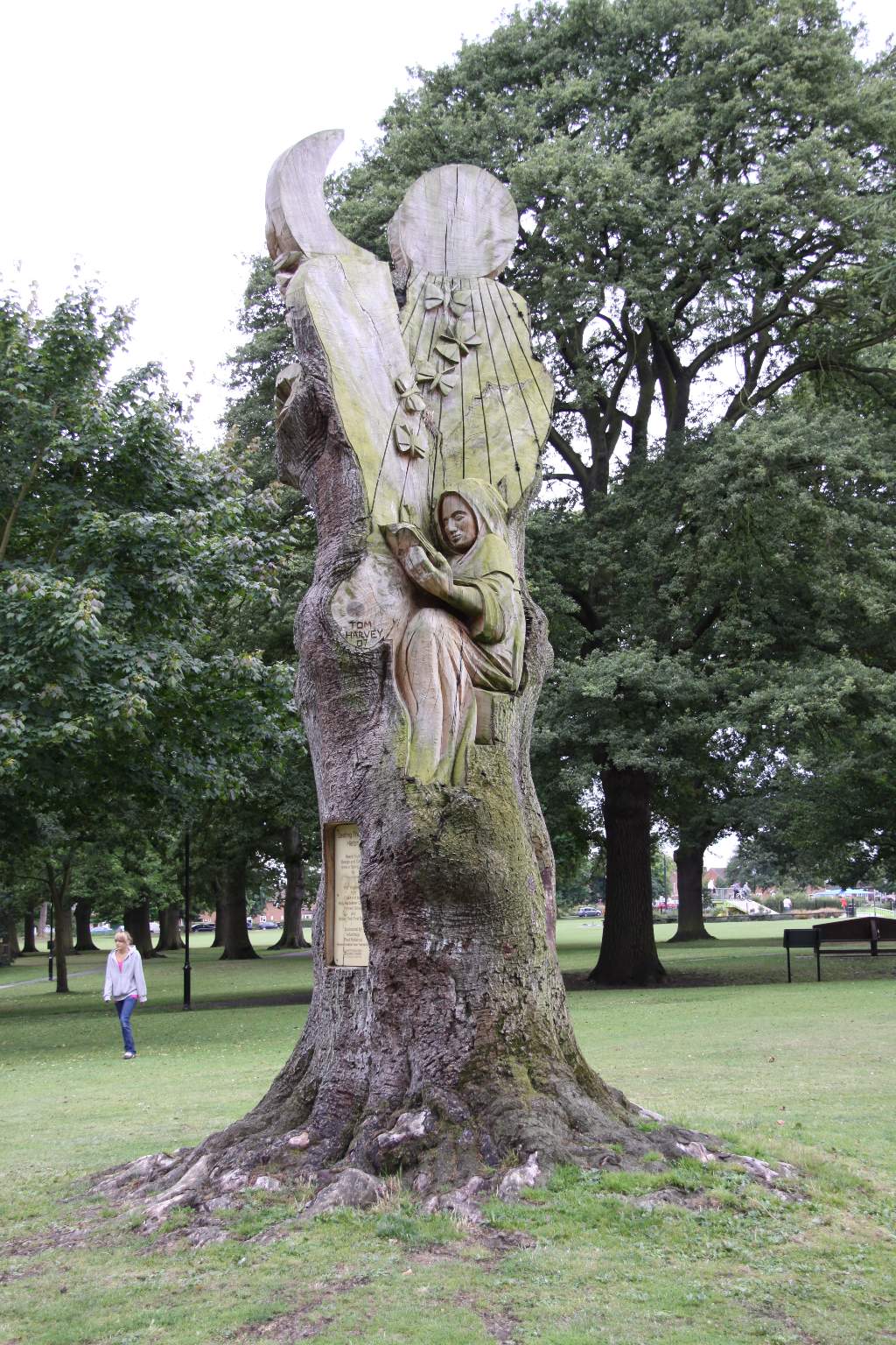 tree