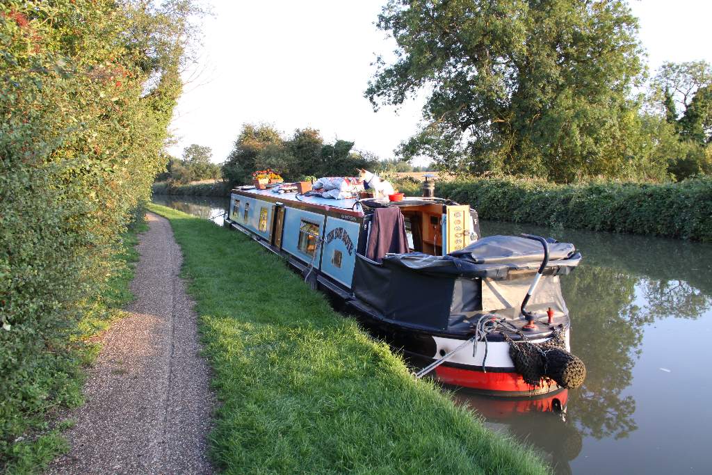 stoke hammond
